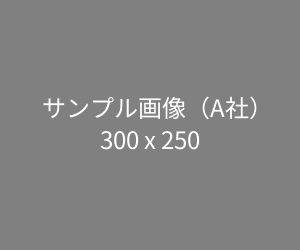 記事詳細ページ広告1