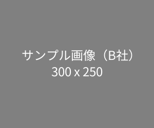 記事詳細ページ広告2